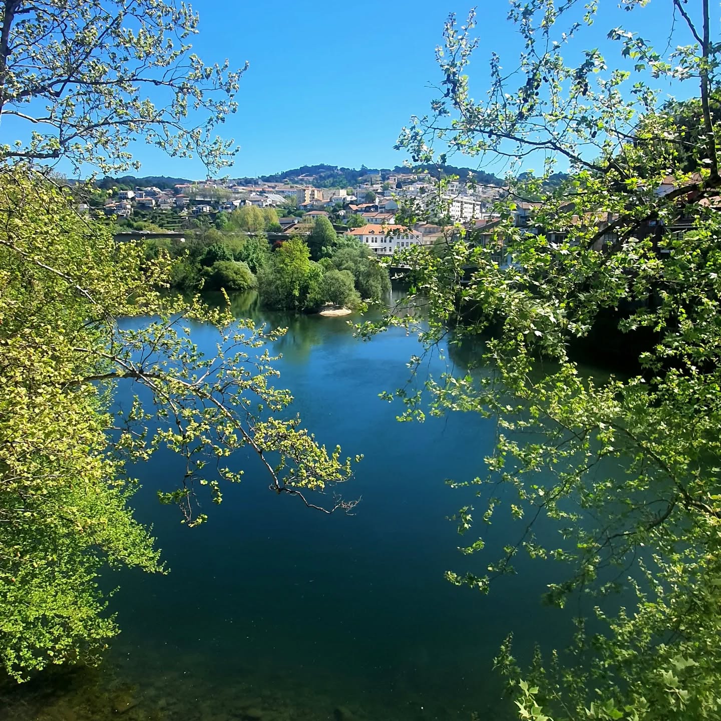 Transfer Porto >> Amarante >> Vila Galé Douro
Private tours| Airport transfers | Executive transfers
Best service at the best price. Book now!
Dream, We make it happen!
WhatsApp: +351 910 971 047
Info@portotransfers.com
portotransfers.com
#visitporto #travelsafe #visitportoandnorth #storytalestours #dourovalley