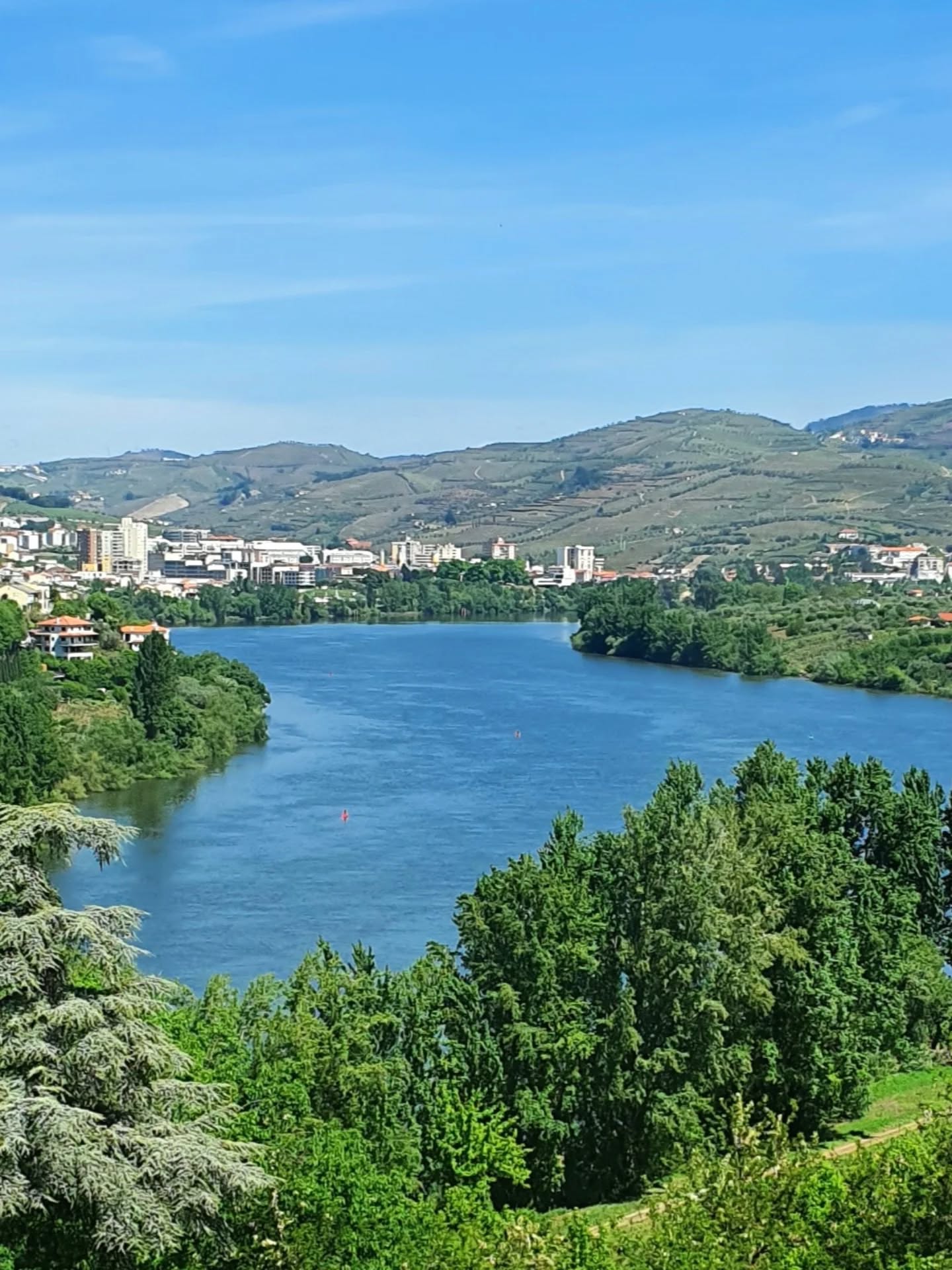 Transfer Porto >> Six Senses Douro Valley
Private tours| Airport transfers | Executive transfers
Best service at the best price. Book now!
Dream, We make it happen!
WhatsApp: +351 910 971 047
Info@portotransfers.com
portotransfers.com
#visitporto #travelsafe #visitportoandnorth #storytalestours #dourovalley